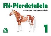 Abbildung von: FN-Pferdetafeln Set / FN-Pferdetafeln Set 1 - FN Verlag