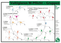 Abbildung von: Voltigieren M-Pflicht-Gruppen - FN Verlag