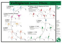 Abbildung von: Voltigieren Junior-Pflicht - Gruppen/Einzel/Einzel U21 - FN Verlag