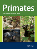 Abbildung von: Primates - Springer