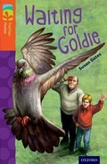 Cover: Oxford Reading Tree TreeTops Fiction: Level 13: Waiting for Goldie - Oxford University Press
