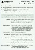 Cover: Oxford Reading Tree Robins 3 Levels 6-10 Guided Reading Card Pack - Oxford University Press