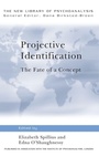 Cover: Projective Identification - Routledge