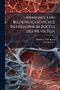Cover: Anatomie Und Bildungsgeschichte Des Gehirns Im Foetus Des Menschen - BiblioBazaar, LLC