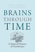 Cover: Brains Through Time - Oxford University Press Inc