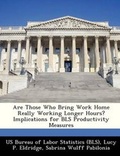 Cover: Are Those Who Bring Work Home Really Working Longer Hours? Implications for BLS Productivity Measures - Bibliogov