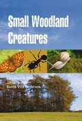Cover: Small Woodland Creatures - Oxford University Press