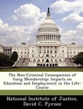 Cover: The Non-Criminal Consequences of Gang Membership - Bibliogov