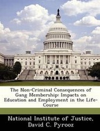 Enlarge image Cover: The Non-Criminal Consequences of Gang Membership - Bibliogov