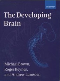 Enlarge image Cover: The Developing Brain - Oxford University Press