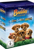 Cover: Buddies Collection - Walt Disney