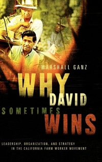 Enlarge image Cover: Why David Sometimes Wins - Oxford University Press Inc
