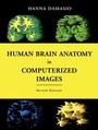 Cover: Human Brain Anatomy in Computerized Images - Oxford University Press Inc