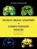Cover: Human Brain Anatomy in Computerized Images - Oxford University Press Inc