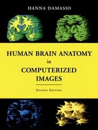 Enlarge image Cover: Human Brain Anatomy in Computerized Images - Oxford University Press Inc
