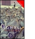 Cover: Colloquial Somali - Routledge
