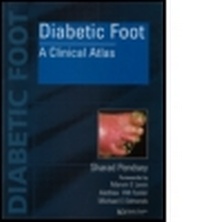 Abbildung von: Diabetic Foot - Informa Healthcare