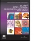 Bild: An Atlas of Human Prenatal Developmental Mechanics - Informa Healthcare