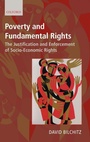 Cover: Poverty and Fundamental Rights - Oxford University Press
