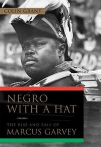Enlarge image Cover: Negro with a Hat - Oxford University Press Inc