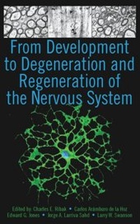 Abbildung von: From Development to Degeneration and Regeneration of the Nervous System - Oxford University Press Inc