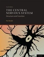 Bild: The Central Nervous System - Oxford University Press Inc