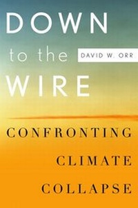 Enlarge image Cover: Down to the Wire - Oxford University Press Inc