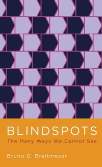 Enlarge image Cover: Blindspots - Oxford University Press Inc