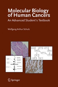 Abbildung von: Molecular Biology of Human Cancers - Springer
