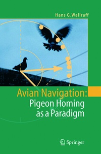 Abbildung von: Avian Navigation: Pigeon Homing as a Paradigm - Springer