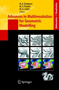 Enlarge image Cover: Advances in Multiresolution for Geometric Modelling - Springer