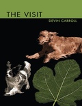 Cover: The Visit - Lulu.com