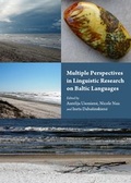 Cover: Multiple Perspectives in Linguistic Research on Baltic Languages - Cambridge Scholars Publishing