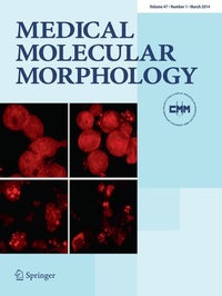 Abbildung von: Medical Molecular Morphology - Springer