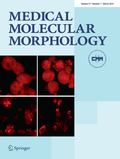 Cover: Medical Molecular Morphology - Springer