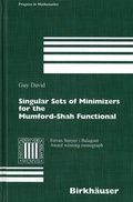 Cover: Singular Sets of Minimizers for the Mumford-Shah Functional - Birkh&auml;user