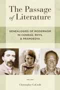 Cover: The Passage of Literature - Oxford University Press Inc