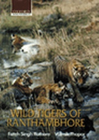 Enlarge image Cover: Wild Tigers of Ranthambhore - OUP India