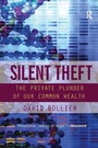 Cover: Silent Theft - Routledge