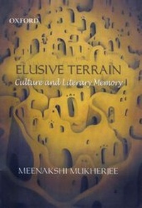 Enlarge image Cover: Elusive Terrain - OUP India