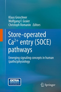 Abbildung von: Store-operated Ca2+ entry (SOCE) pathways - Springer