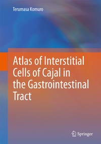 Abbildung von: Atlas of Interstitial Cells of Cajal in the Gastrointestinal Tract - Springer