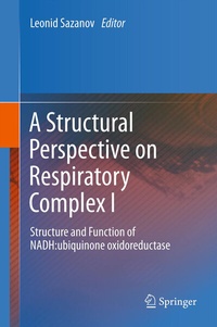 Abbildung von: A Structural Perspective on Respiratory Complex I - Springer