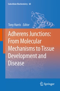 Abbildung von: Adherens Junctions: from Molecular Mechanisms to Tissue Development and Disease - Springer