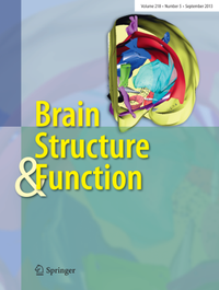 Abbildung von: Brain Structure and Function - Springer