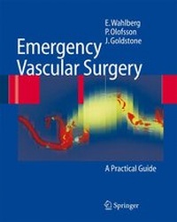 Abbildung von: Emergency Vascular Surgery - Springer