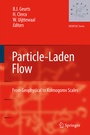 Cover: Particle-Laden Flow - Springer
