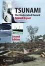 Cover: Tsunami - Springer