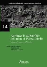 Enlarge image Cover: Advances in Subsurface Pollution of Porous Media - Indicators, Processes and Modelling - CRC Press