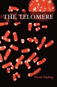 Abbildung von: The Telomere - Oxford University Press
